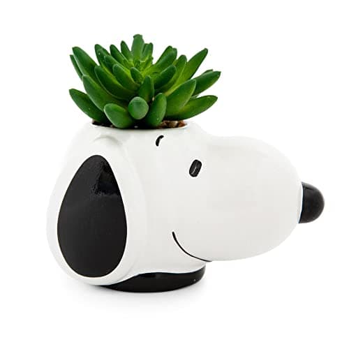 Peanuts Snoopy Succulent Ceramic Mini Planter PEA537EH
