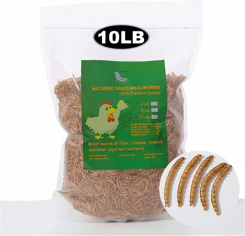 Euchirus 10LBs Dried Mealworms Chicken & Pet Food