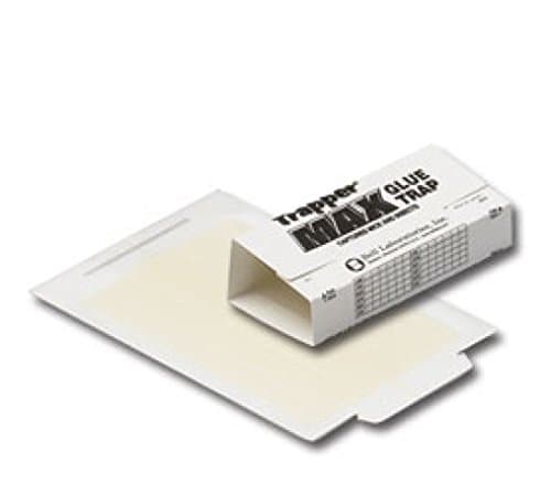 Trapper Max 12-Count Glue Traps