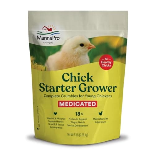 Starter Bird Food
