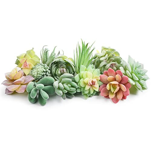 HappyHapi 12 Pcs Mini Faux Succulents Assortment
