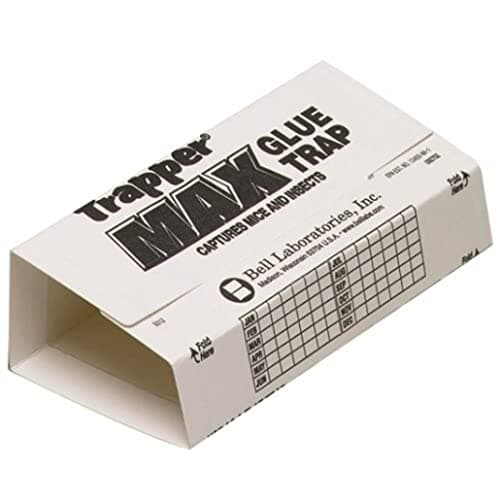 Trapper Max Glue Traps 72-Count Peanut Butter Scented