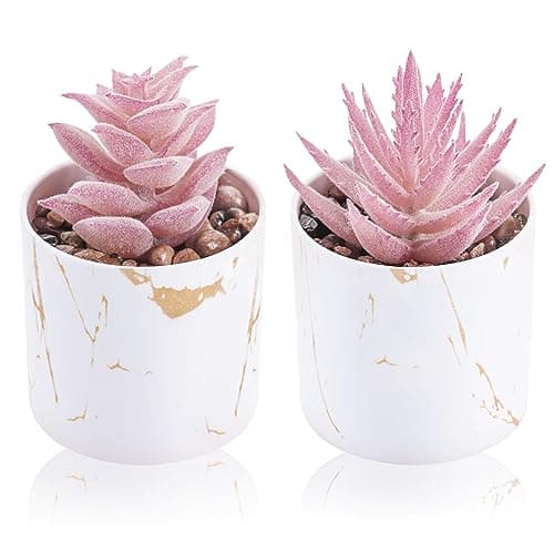 Der Rose Pink Succulents - Set of 2 Artificial Plants