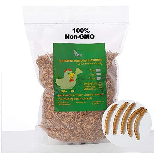 WORKPOINT 11LB Non-GMO Dried Mealworms