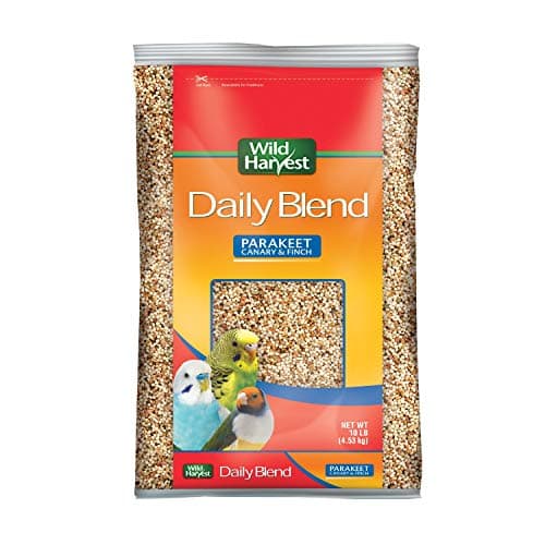 Finch Bird Food