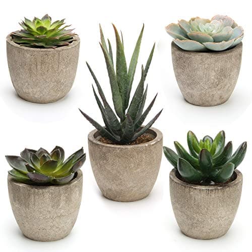 Coitak 5-Piece Assorted Faux Succulent Potted Plants
