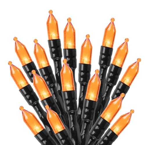 Brightown 2-Pack Orange Halloween String Lights