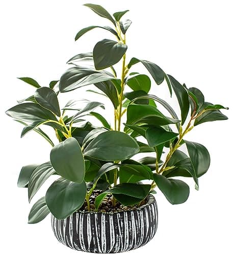 AlphaAcc ARTGRS230609-0 Faux Peperomia Plant Black Pot
