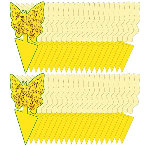 Dwcom Trap 40 Pack Yellow Sticky Traps
