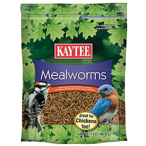 Kaytee Mealworms Wild Bird Food 17.6 Ounce