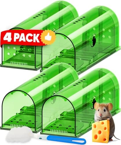 Motel Mouse 4-Pack Humane Green Mouse Traps