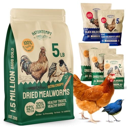 Hatortempt Dried Mealworms 5 lbs Chicken Feed