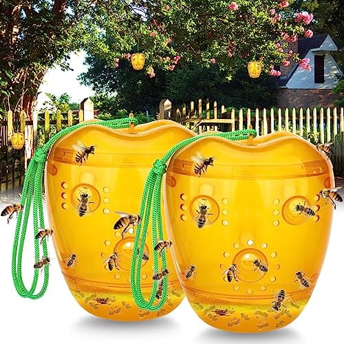 Pest Control Traps
