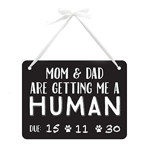 Pearhead 72039 Pet Chalkboard Sign